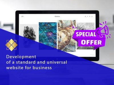 Business Website Development — Starting from 250 EUR. Fill out the form and get a sample preview!