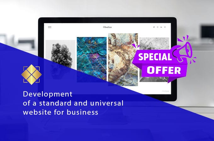 Business Website Development — Starting from 250 EUR. Fill out the form and get a sample preview!